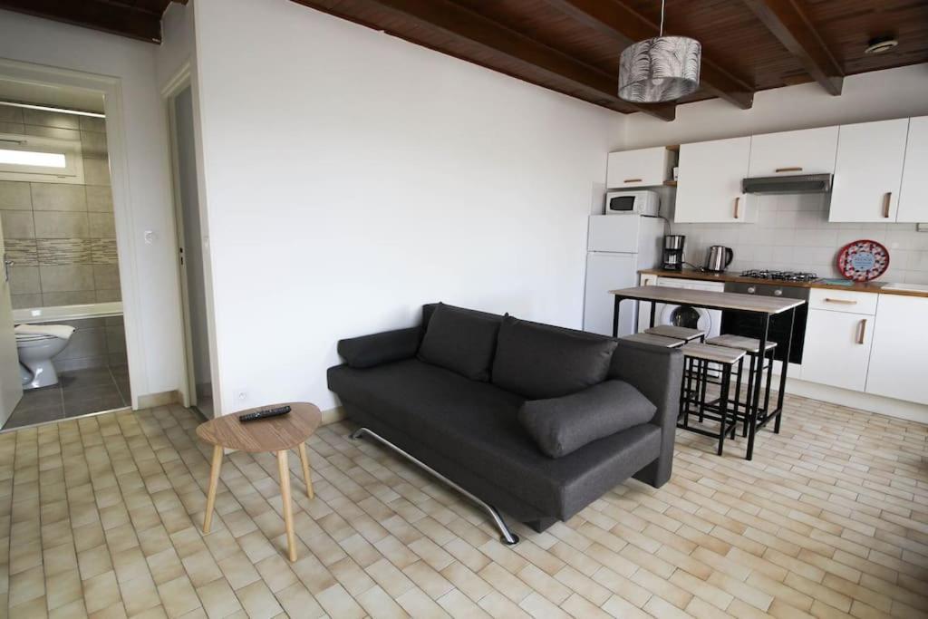 Apartment Joli T2 Renove / Wifi / Grand Parking Prive